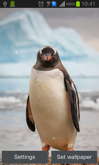 Penguin - scaricare sfondi animati per Android 9.3.1 di cellulare gratuitamente.