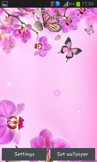 Pink flowers - scaricare sfondi animati per Android di cellulare gratuitamente.
