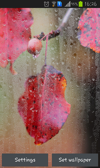 Rainy autumn - scaricare Paesaggio sfondi animati per Android di cellulare gratuitamente.