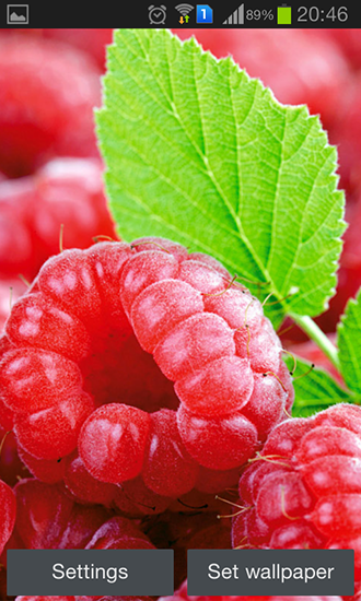 Raspberries - scaricare sfondi animati per Android 4.4.4 di cellulare gratuitamente.