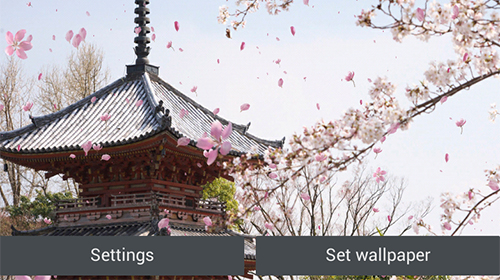 Scaricare Sakura garden — sfondi animati gratuiti per l'Android su un Desktop. 