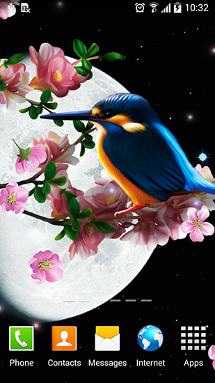 Sakura and bird - scaricare  sfondi animati per Android di cellulare gratuitamente.