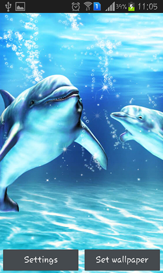Scarica gratis sfondi animati Sea dolphin per telefoni di Android e tablet.