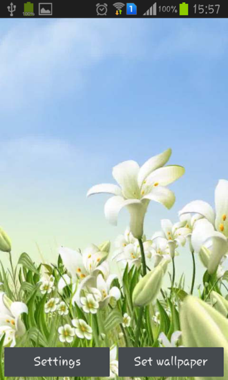 Sea lilies - scaricare Fiori sfondi animati per Android di cellulare gratuitamente.