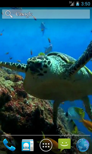 Sea turtle - scaricare sfondi animati per Android 2.0 di cellulare gratuitamente.