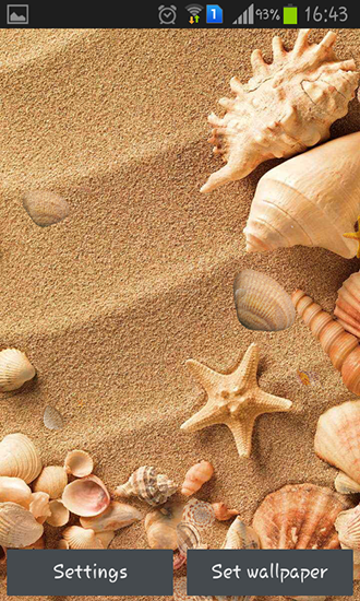 Seashell - scaricare sfondi animati per Android 4.0.1 di cellulare gratuitamente.