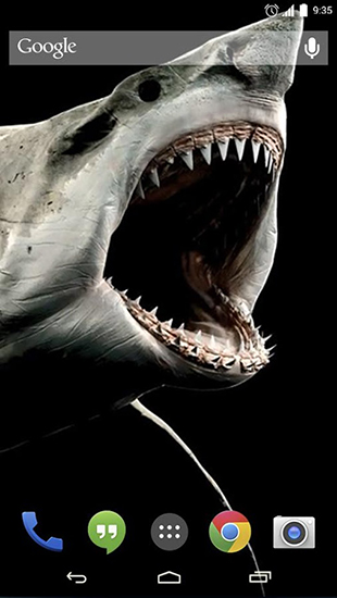 Shark 3D - scaricare sfondi animati per Android 4.2.2 di cellulare gratuitamente.