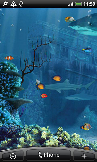 Shark reef - scaricare sfondi animati per Android 4.0. .�.�. .�.�.�.�.�.�.�.� di cellulare gratuitamente.