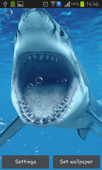 Sharks - scaricare sfondi animati per Android 2.3 di cellulare gratuitamente.