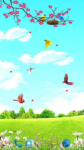 Scaricare Sky birds — sfondi animati gratuiti per l'Android su un Desktop. 
