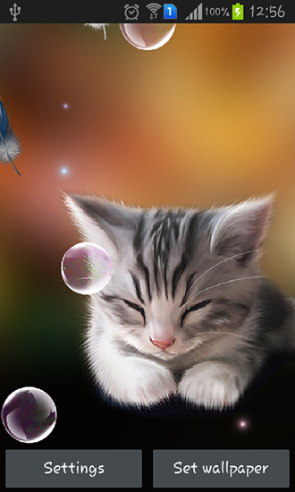 Scarica gratis sfondi animati Sleepy kitten per telefoni di Android e tablet.