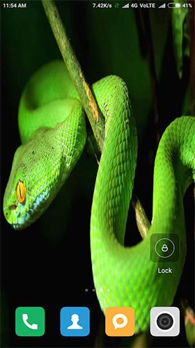 Scaricare Snake HD — sfondi animati gratuiti per l'Android su un Desktop. 