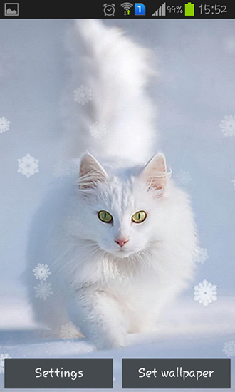 Snow cats - scaricare sfondi animati per Android 4.4.2 di cellulare gratuitamente.