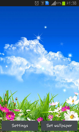 Spring flower - scaricare sfondi animati per Android 1.5 di cellulare gratuitamente.