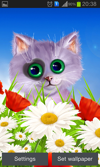 Spring: Kitten - scaricare  sfondi animati per Android di cellulare gratuitamente.
