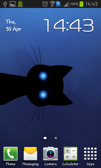 Stalker cat - scaricare Animali sfondi animati per Android di cellulare gratuitamente.