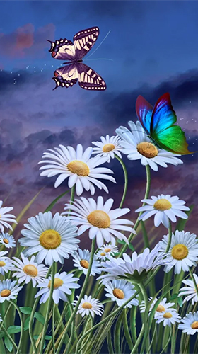 Scaricare Summer: flowers and butterflies — sfondi animati gratuiti per l'Android su un Desktop. 