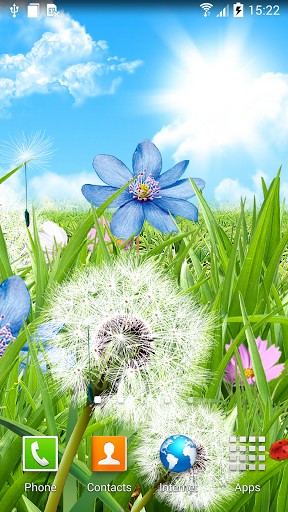 Summer flowers - scaricare sfondi animati per Android 3.0 di cellulare gratuitamente.