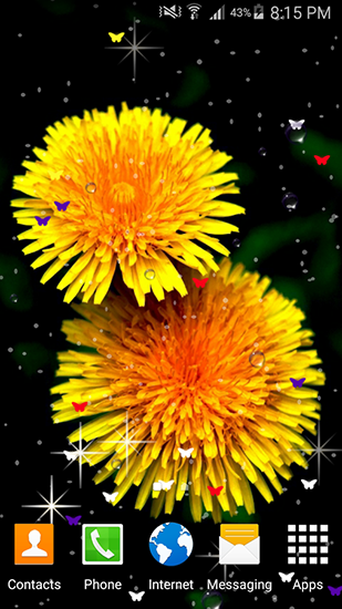 Scarica gratis sfondi animati Summer flowers by Stechsolutions per telefoni di Android e tablet.