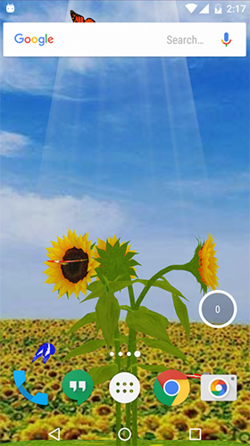 Scaricare Sunflower 3D — sfondi animati gratuiti per l'Android su un Desktop. 