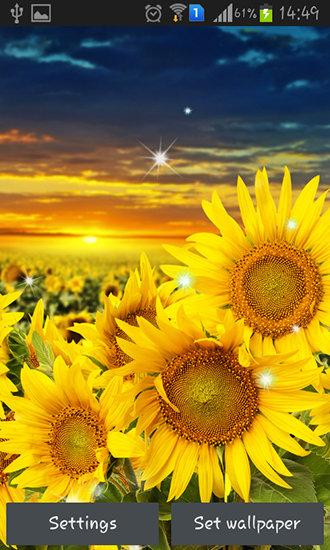 Sunflower by Creative factory wallpapers - scaricare Fiori sfondi animati per Android di cellulare gratuitamente.