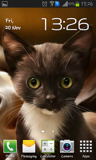 Scarica gratis sfondi animati Surprised kitty per telefoni di Android e tablet.