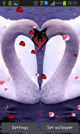 Swans: Love - scaricare sfondi animati per Android 6.0 di cellulare gratuitamente.