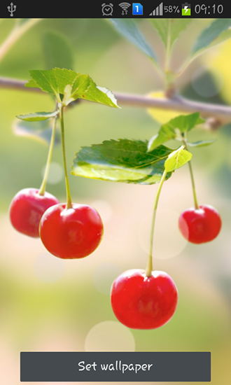 Sweet cherry - scaricare sfondi animati per Android 4.1.2 di cellulare gratuitamente.