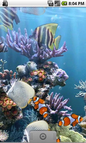 Scarica gratis sfondi animati The real aquarium per telefoni di Android e tablet.