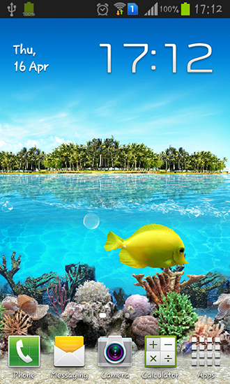 Scarica gratis sfondi animati Tropical ocean per telefoni di Android e tablet.
