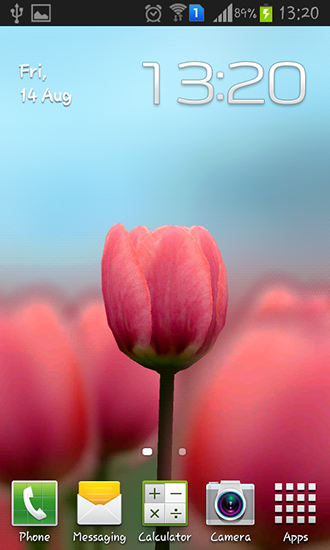 Tulip 3D - scaricare Fiori sfondi animati per Android di cellulare gratuitamente.