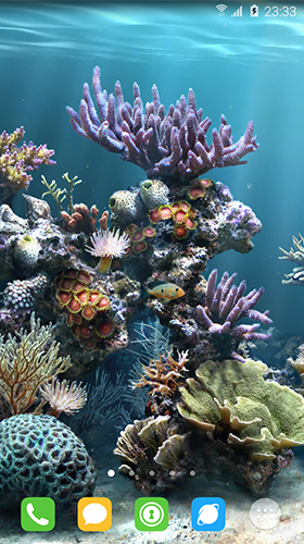 Scaricare Underwater world by orchid — sfondi animati gratuiti per l'Android su un Desktop. 