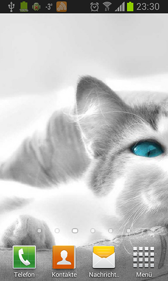 White cats - scaricare sfondi animati per Android 4.4.4 di cellulare gratuitamente.