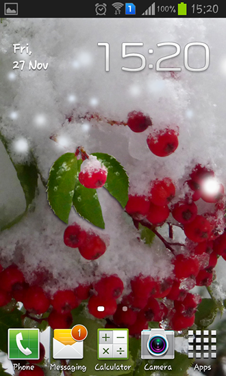 Winter berry - scaricare sfondi animati per Android 4.4.2 di cellulare gratuitamente.