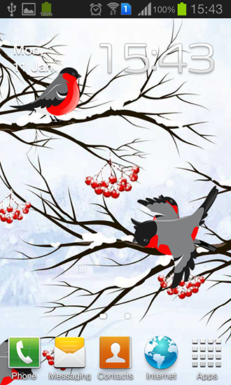 Winter: Bullfinch - scaricare Animali sfondi animati per Android di cellulare gratuitamente.