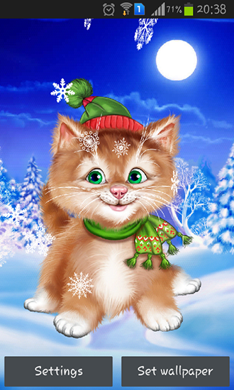 Scarica gratis sfondi animati Winter cat per telefoni di Android e tablet.