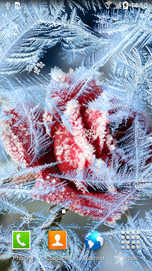 Winter flowers - scaricare Paesaggio sfondi animati per Android di cellulare gratuitamente.
