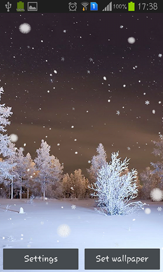 Winter forest - scaricare Paesaggio sfondi animati per Android di cellulare gratuitamente.