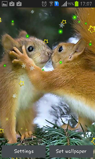 Winter squirrel - scaricare sfondi animati per Android 6.0 di cellulare gratuitamente.