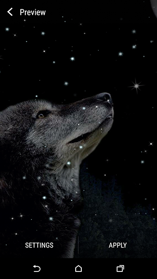 Wolf and Moon - scaricare sfondi animati per Android 9.0 di cellulare gratuitamente.