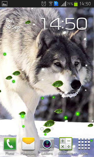 Wolves mistery - scaricare sfondi animati per Android 1.0 di cellulare gratuitamente.