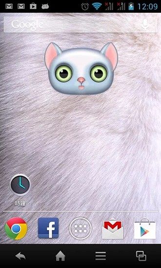 Zoo: Cat - scaricare sfondi animati per Android 9.3.1 di cellulare gratuitamente.