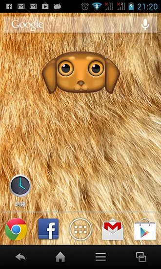 Zoo: Dog - scaricare sfondi animati per Android 9.3.1 di cellulare gratuitamente.