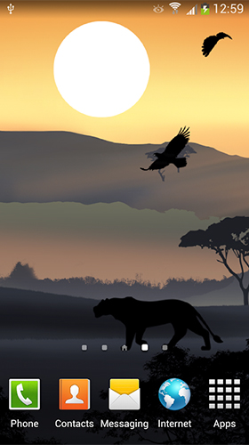 Screenshot dello Schermo African sunset sul cellulare e tablet.