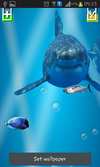 Scaricare Angry shark: Cracked screen — sfondi animati gratuiti per l'Android su un Desktop. 
