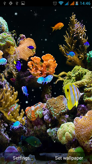 Scaricare Aquarium by Best Live Wallpapers Free — sfondi animati gratuiti per l'Android su un Desktop. 