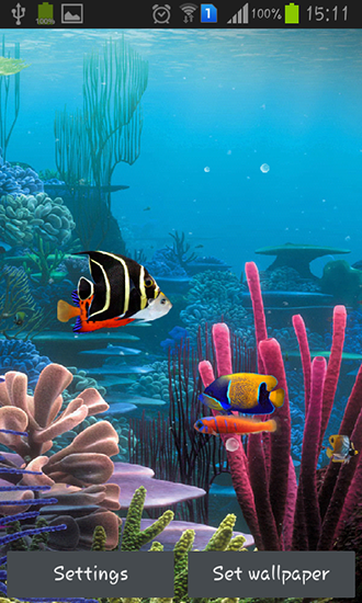 Scaricare Aquarium by Cowboys — sfondi animati gratuiti per l'Android su un Desktop. 