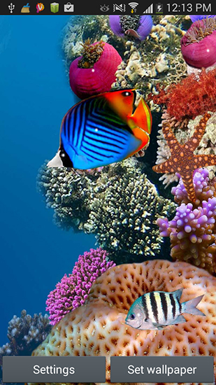 Scaricare Aquarium by Seafoam — sfondi animati gratuiti per l'Android su un Desktop. 