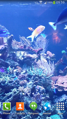 Scaricare Aquarium HD 2 — sfondi animati gratuiti per l'Android su un Desktop. 
