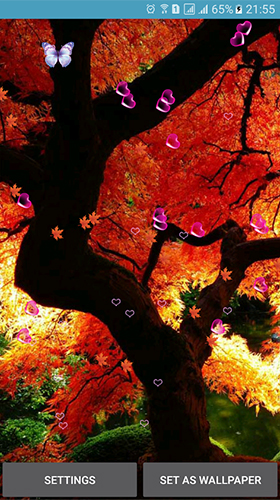 Screenshot dello Schermo Autumn by 3D Top Live Wallpaper sul cellulare e tablet.